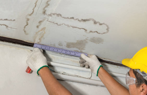 Reliable Sewage Cleanup contractor in Clifton, VA by Water Damage Irwin